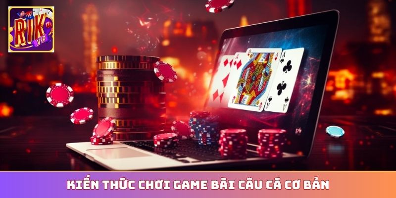 Kiến thức chơi game bài Câu Cá cơ bản