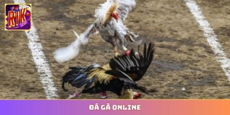 Đá gà online